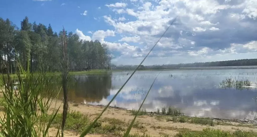 Участок в Ленинградская область, Всеволожский район, Токсовское ... - Фото 1