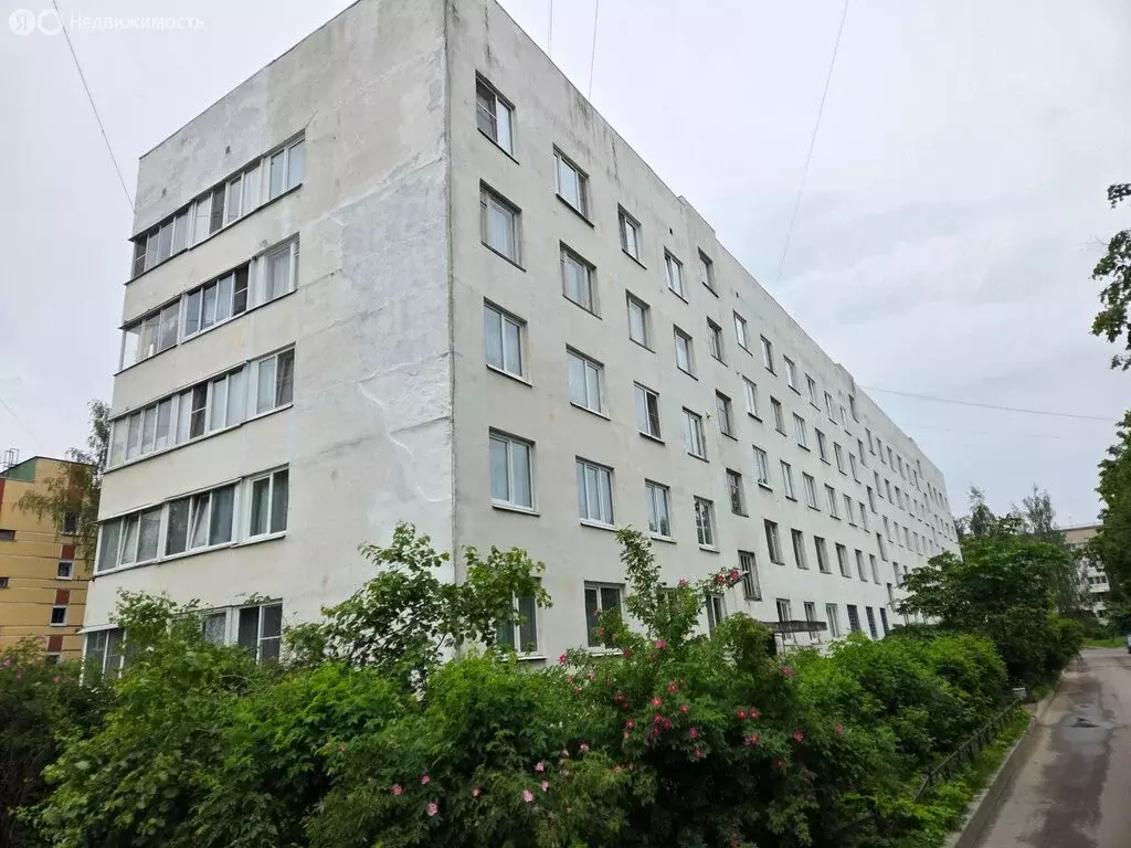 2-комнатная квартира: посёлок Романовка, 27 (47 м) - Фото 0