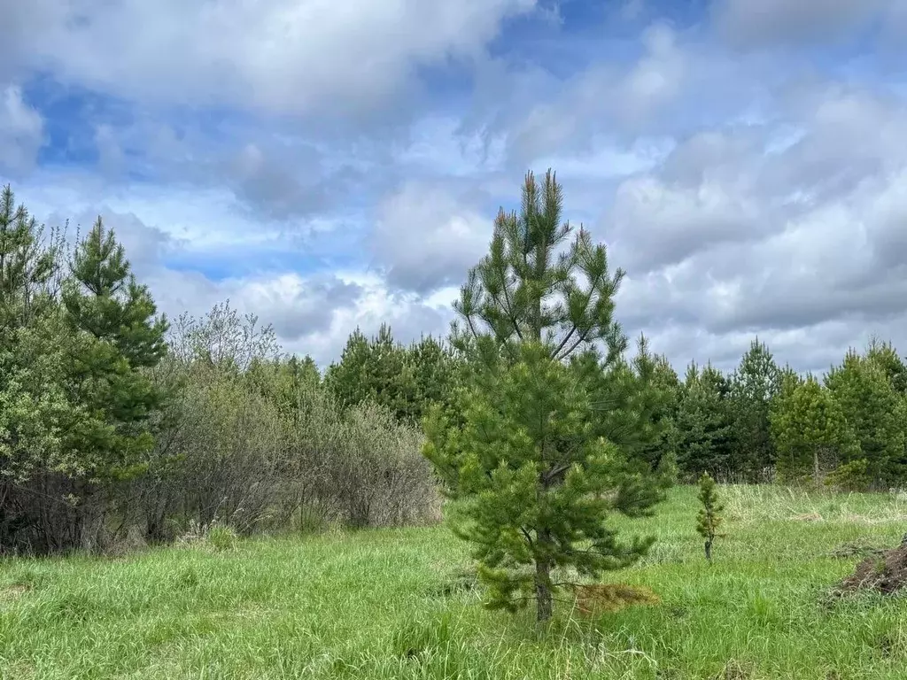 Участок в Свердловская область, Полевской муниципальный округ, с. ... - Фото 1