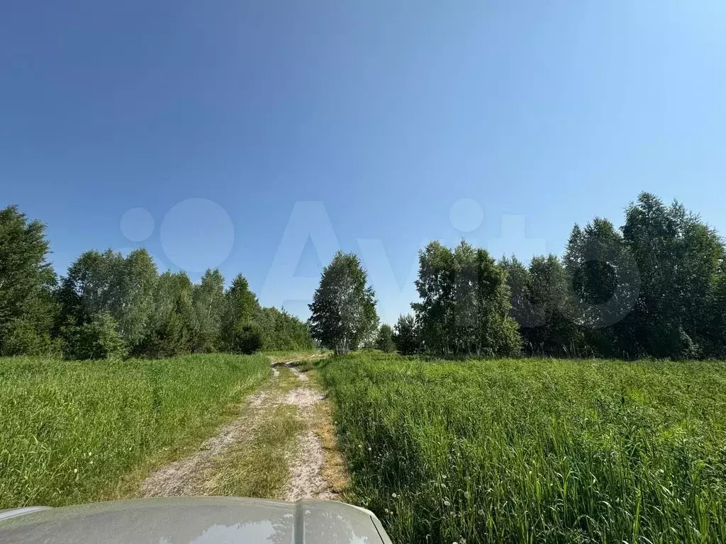 Участок 10 сот. (СНТ, ДНП) - Фото 0
