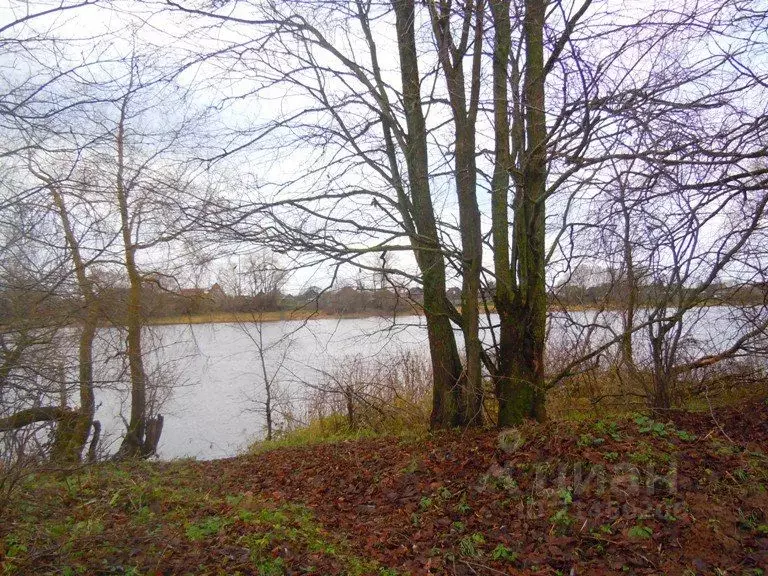 Участок в Новгородская область, Новгородский район, Савинское с/пос, ... - Фото 0