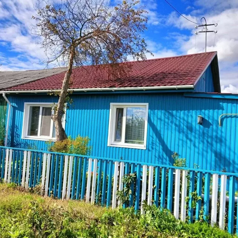 Дом в Тюменская область, с. Упорово ул. Менделеева (63 м) - Фото 1