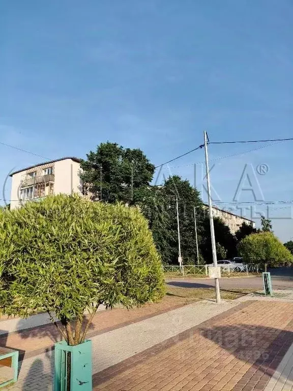 3-к кв. Ленинградская область, Приозерск ул. Чапаева, 20 (58.0 м) - Фото 2