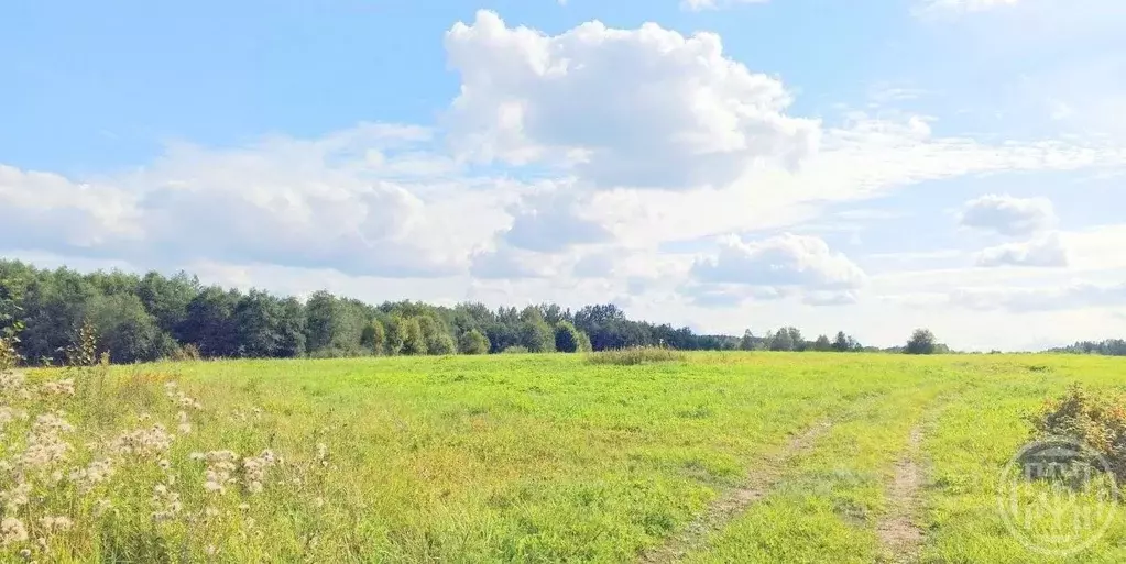 Участок в Ленинградская область, Ломоносовский район, Оржицкое с/пос, ... - Фото 2
