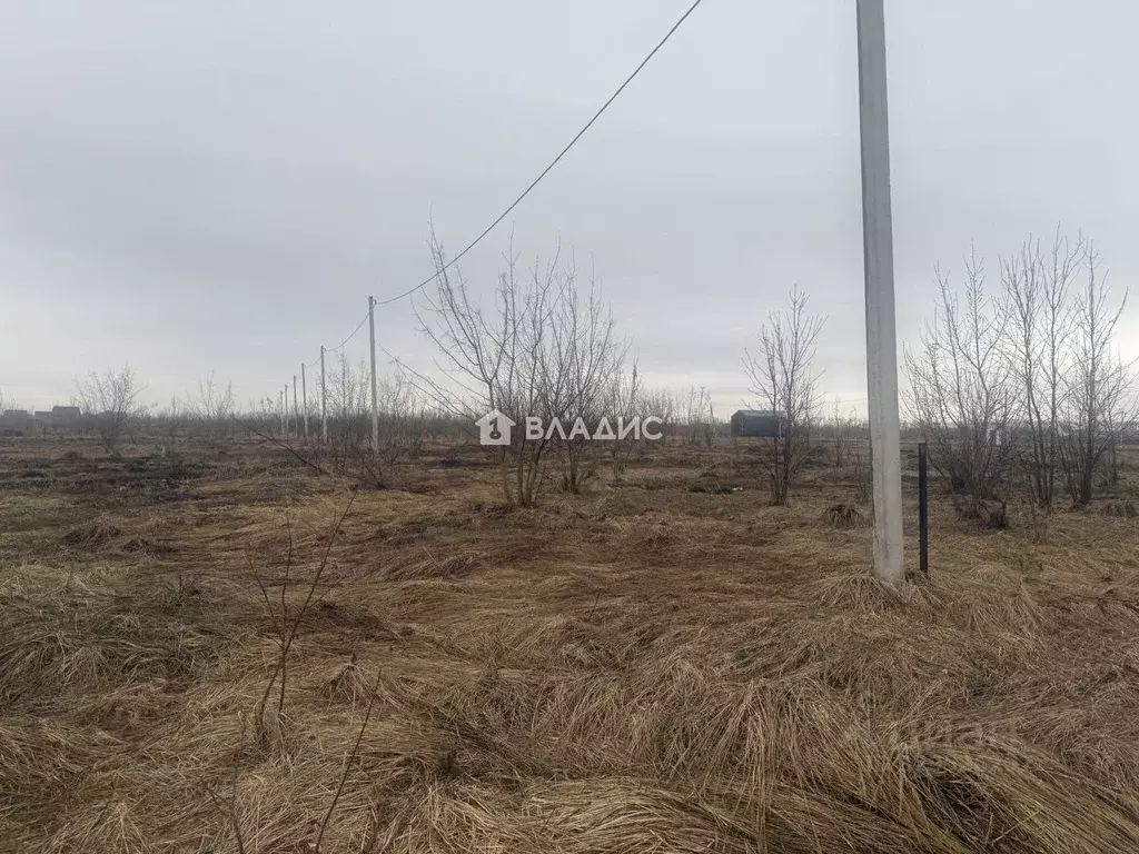 Участок в Пензенская область, с. Бессоновка  (9.2 сот.) - Фото 2