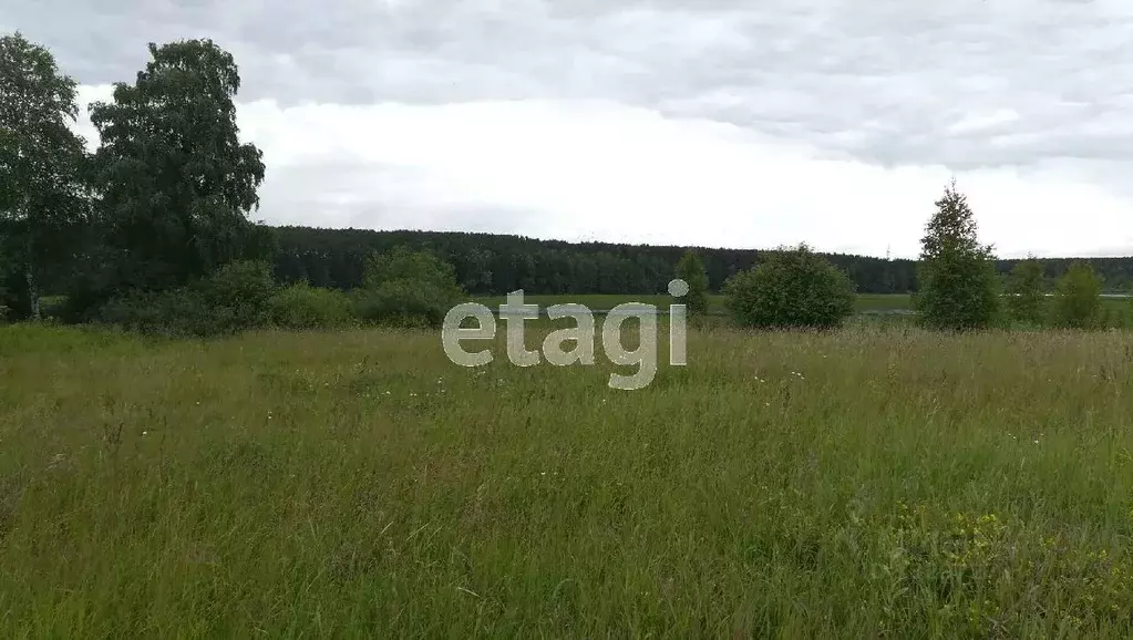 Участок в Свердловская область, Горноуральский городской округ, с. ... - Фото 0