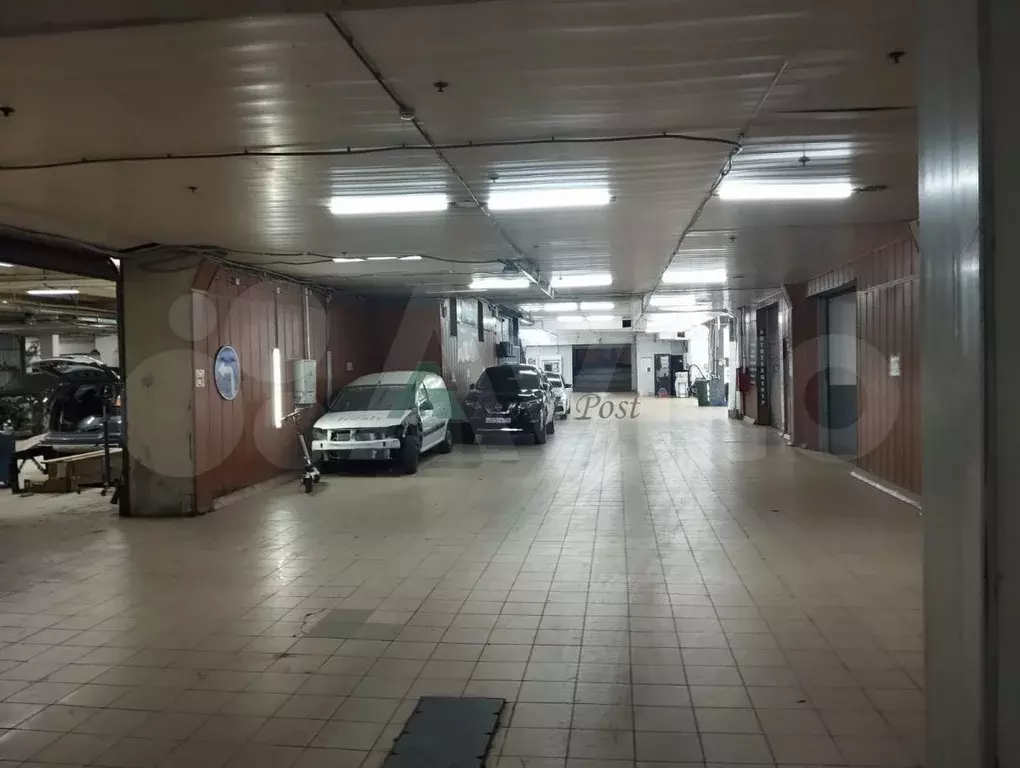 Автосервис, автосалон, детейлинг, хранение авто - Фото 1