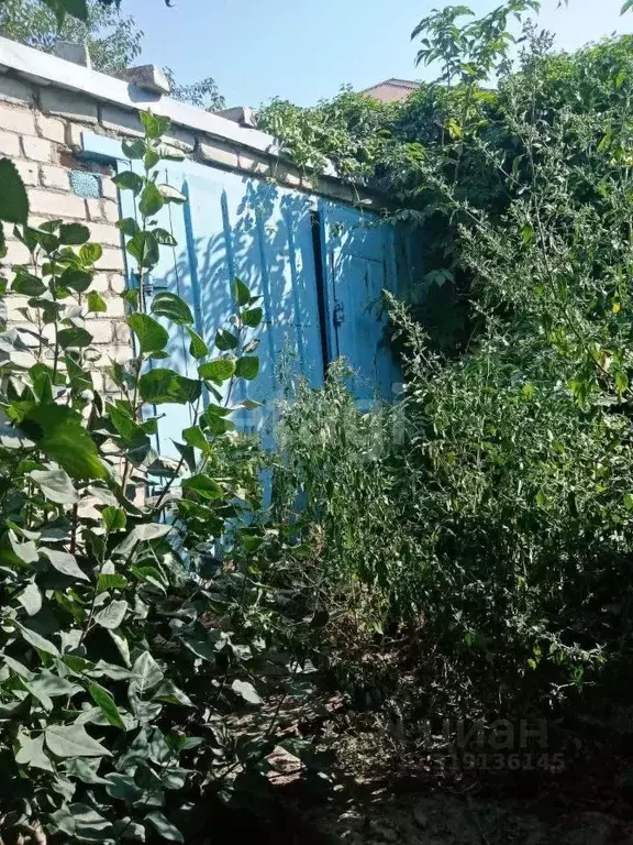 Участок в Ставропольский край, Ставрополь ул. Никитина, 7 (3.5 сот.) - Фото 1