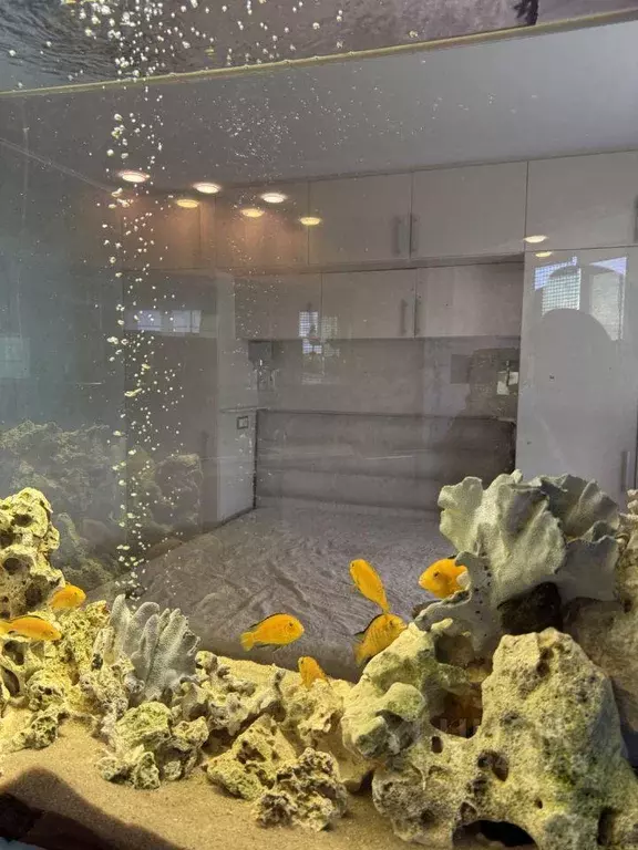 Квартира, 1 комната, 43.1 м - Фото 1