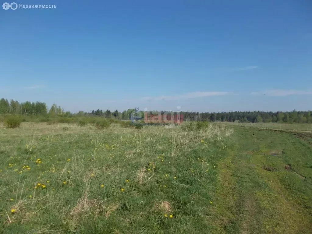 Участок в Тукаевский район, Малошильнинское сельское поселение, село ... - Фото 0