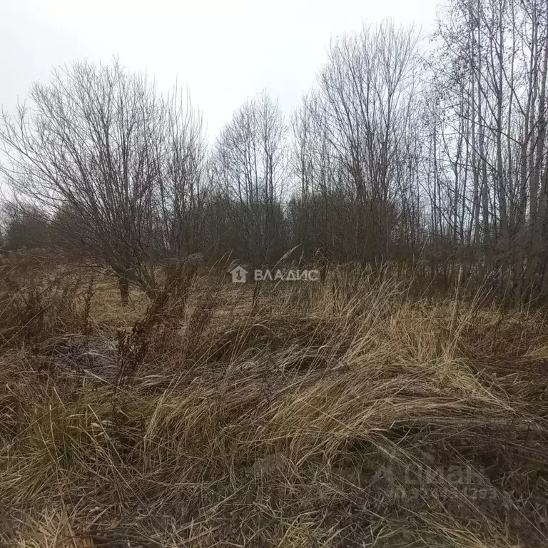 Участок в Владимирская область, Собинский муниципальный округ, ... - Фото 1