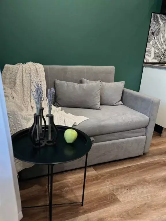 Студия Санкт-Петербург ул. Чирикова, 5 (20.0 м) - Фото 2