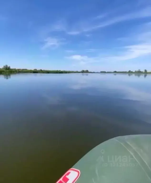 Дом в Ульяновская область, Новоульяновск городской округ, с. Криуши ... - Фото 1