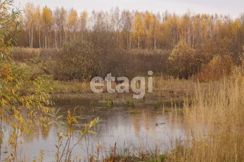 Участок в Нижегородская область, с. Дивеево  (10.0 сот.) - Фото 1