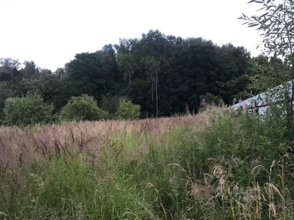 Участок в Москва д. Мешково,  (8.2 сот.) - Фото 2