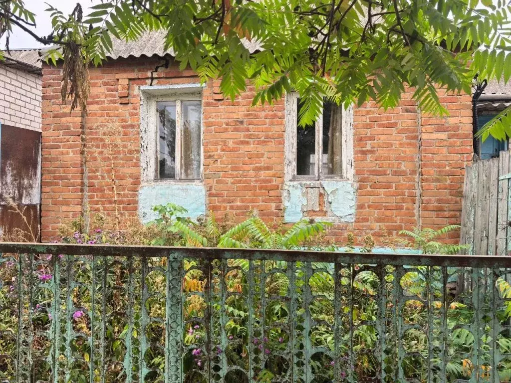 Дом в Белгородская область, Белгородский район, с. Стрелецкое  (40 м) - Фото 2