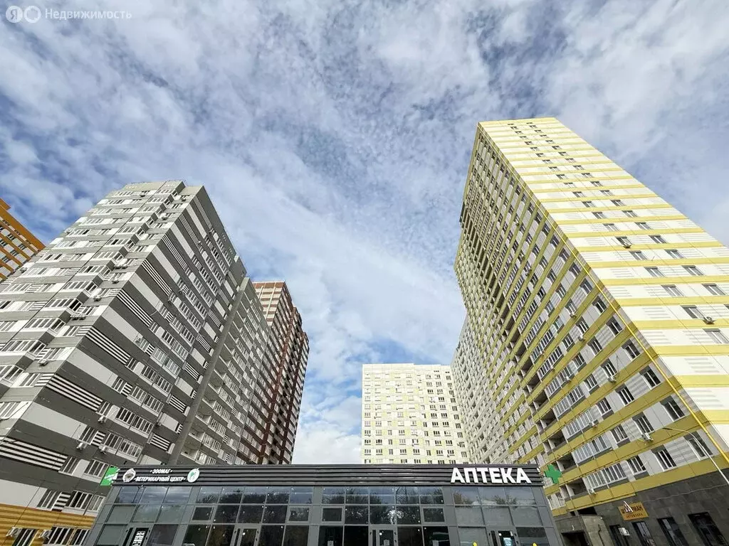 Квартира-студия: Оренбург, улица Юркина, 10 (26 м) - Фото 2