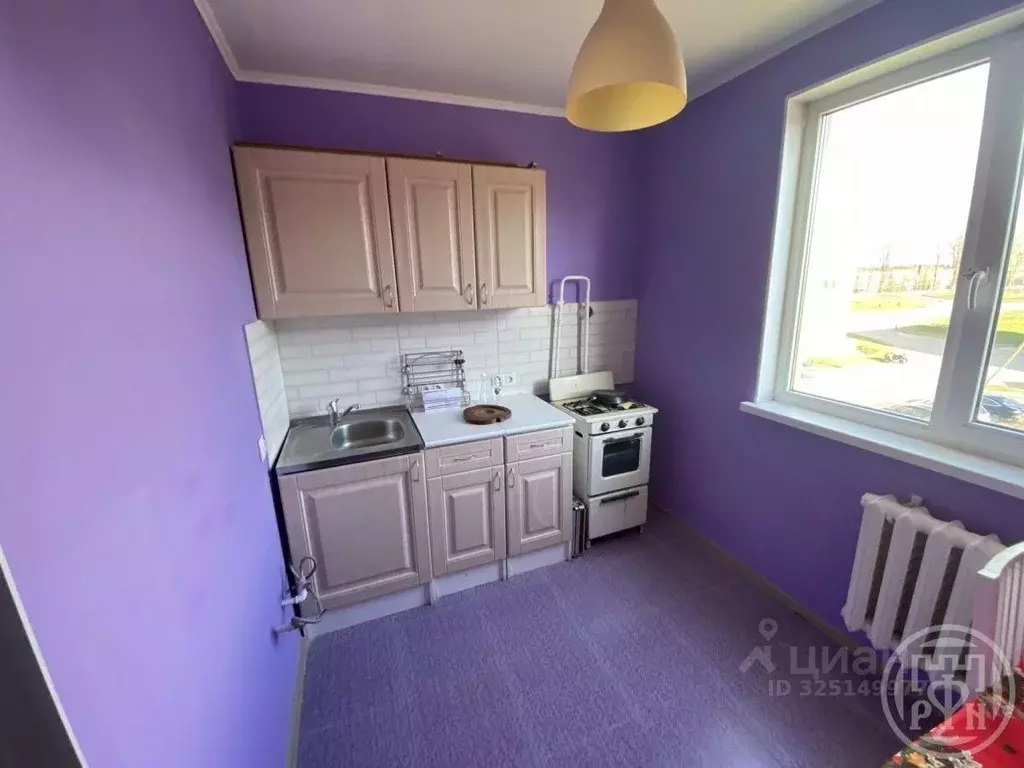 1-к кв. Ленинградская область, Выборгский район, пос. Первомайское ул. ... - Фото 2