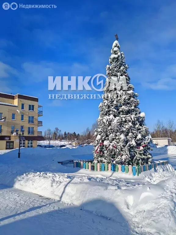 4-комнатная квартира: посёлок городского типа Тучково, Комсомольская ... - Фото 2