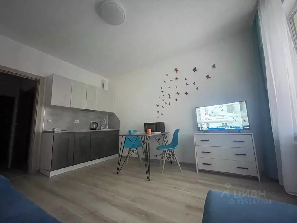 Студия Санкт-Петербург ул. Парфеновская, 14к1 (24.0 м) - Фото 1