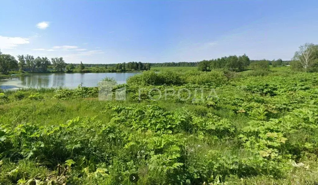 участок в московская область, солнечногорск городской округ, д. . - Фото 0