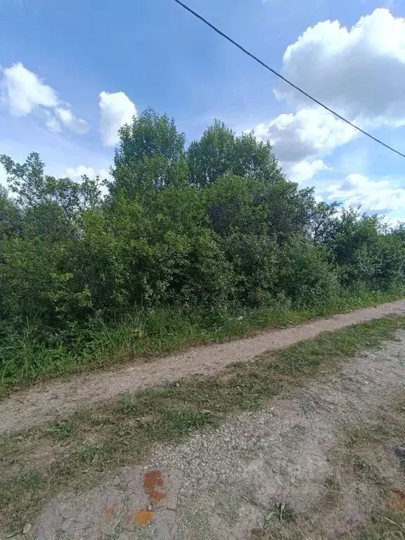 Участок в Новгородская область, Новгородский район, Ермолинское с/пос, ... - Фото 0