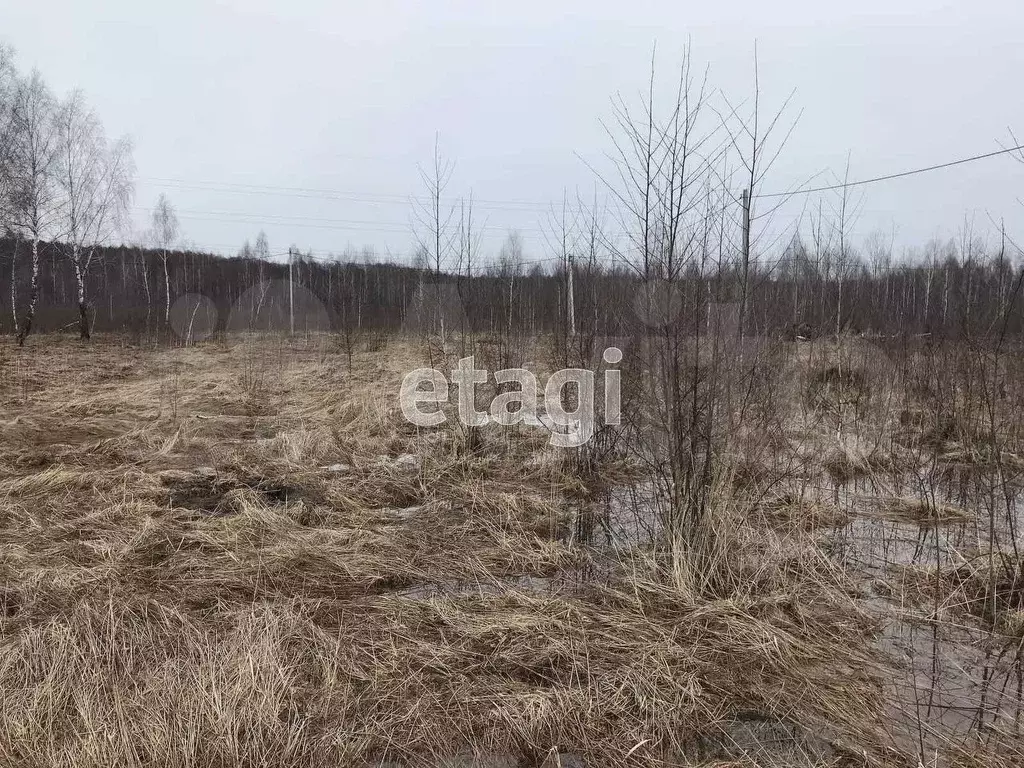 Участок 10 сот. (ИЖС) - Фото 1