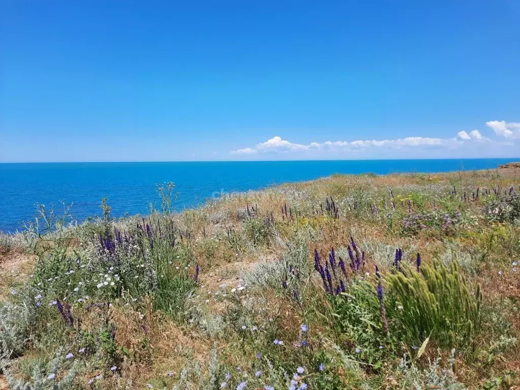 Участок в Севастополь Кача пгт, ул. Авиаторов (5.0 сот.) - Фото 0