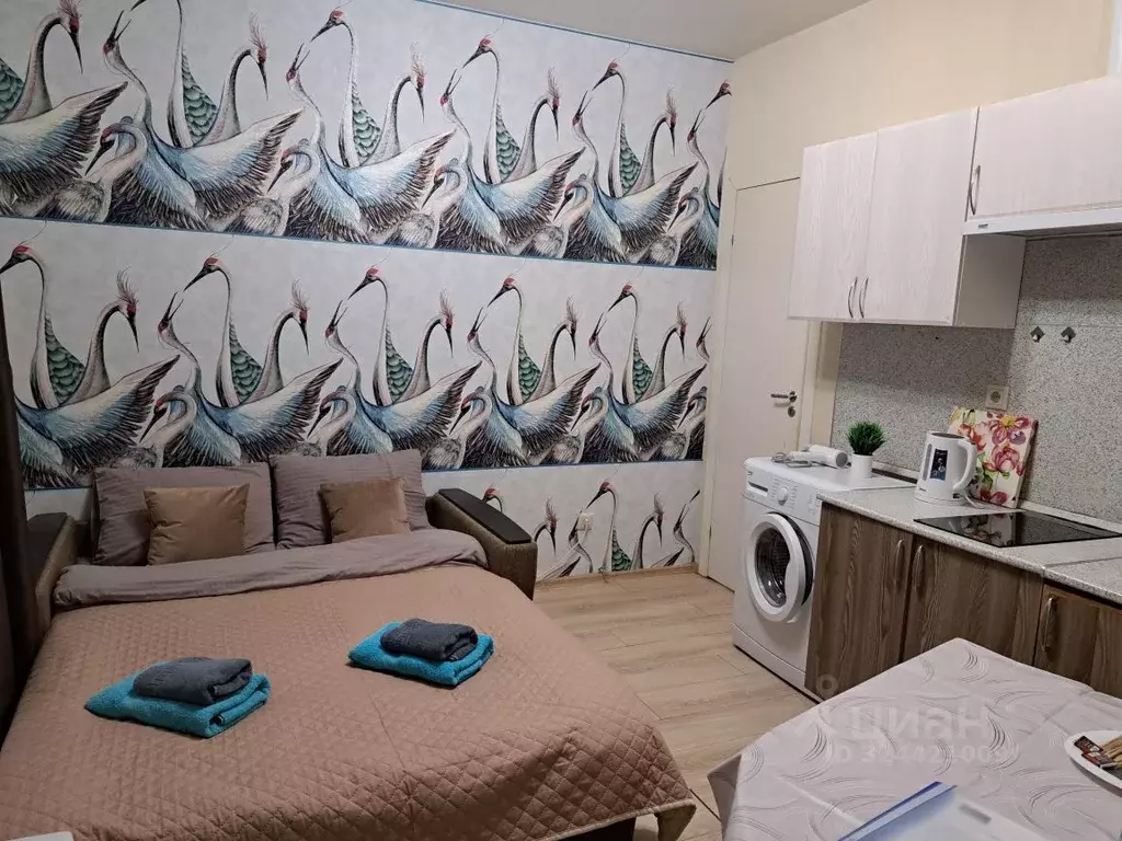 Студия Московская область, Одинцово ул. Белорусская, 10 (20.0 м) - Фото 2