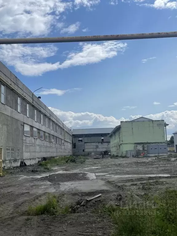 Помещение свободного назначения в Новосибирская область, Новосибирск ... - Фото 1