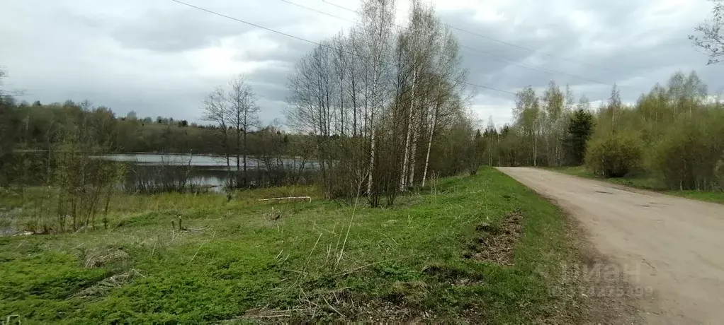 Участок в Новгородская область, Демянский муниципальный округ, д. ... - Фото 1
