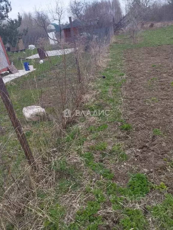 Участок в Владимирская область, Суздальский район, Боголюбовское ... - Фото 1