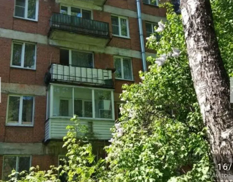 2-к кв. Санкт-Петербург Светлановский просп., 57 (44.7 м) - Фото 1