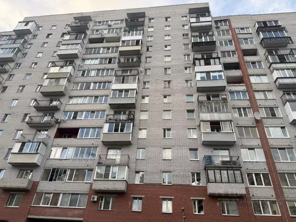 1-к кв. Санкт-Петербург просп. Авиаконструкторов, 38К1 (35.1 м) - Фото 2