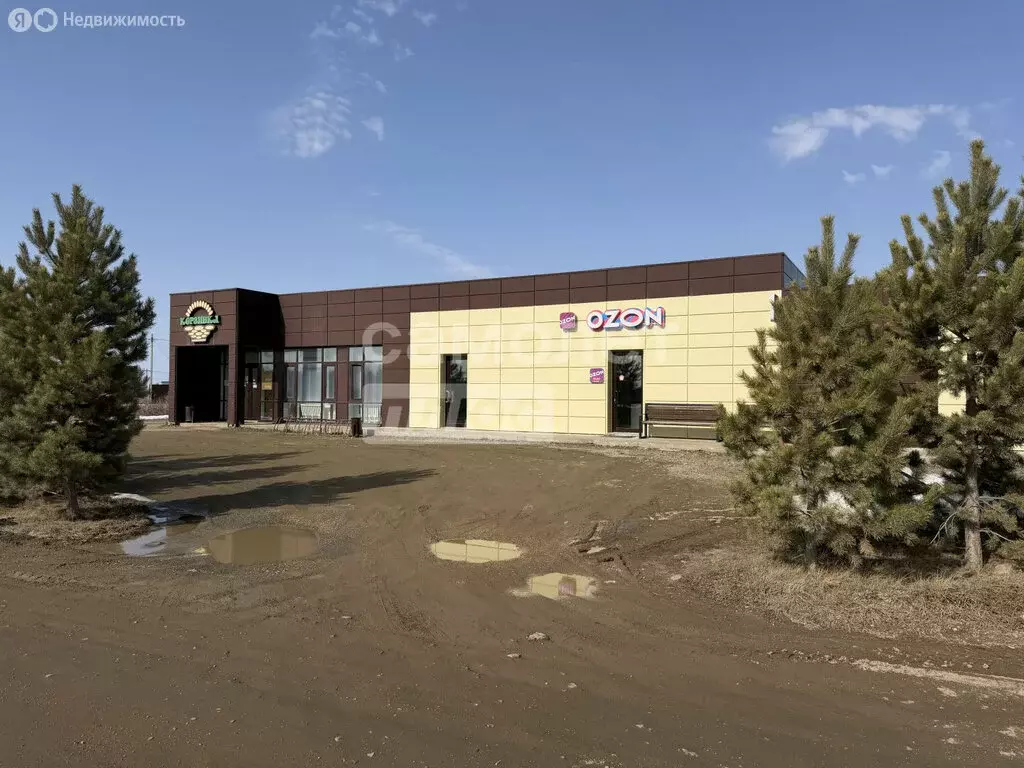 Участок в Челябинская область, Аргаяшский муниципальный округ, ТСН ... - Фото 1