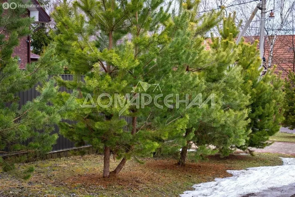 Участок в Москва, НАО, Филимонковский район, деревня Милюково (45 м) - Фото 0