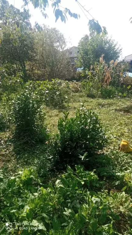 Участок в Краснодарский край, Сочи Андреевская ул., 21 (6.0 сот.) - Фото 1