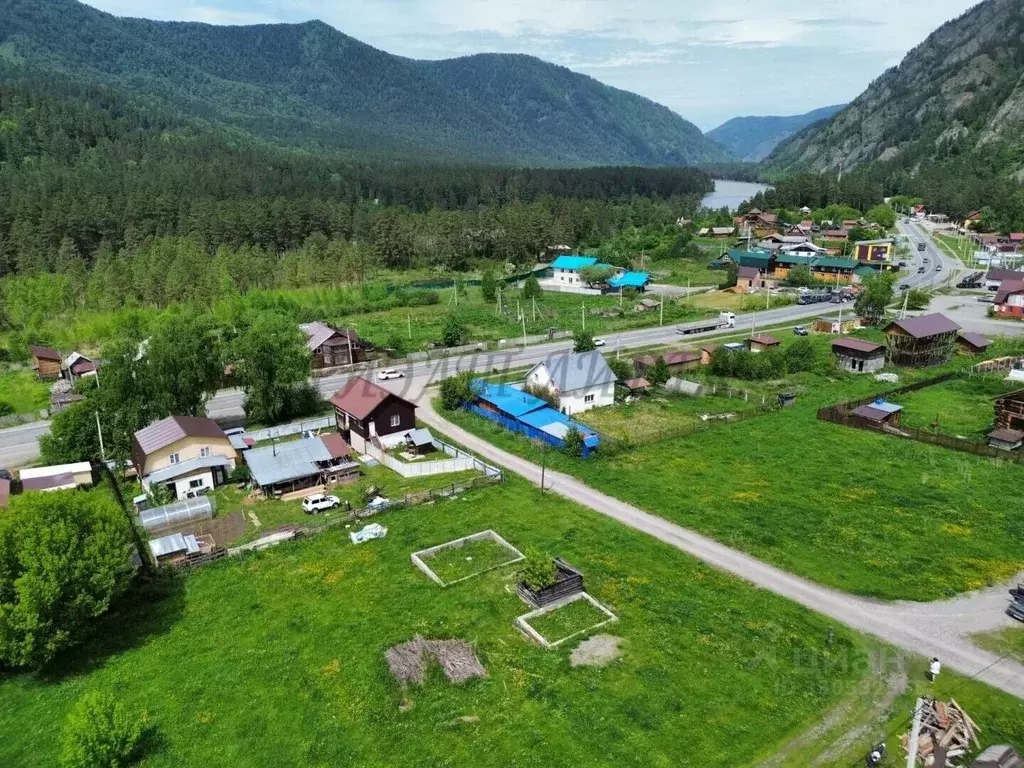 Участок в Алтай, Майминский район, Усть-Мунинское с/пос, пос. Барангол ... - Фото 2