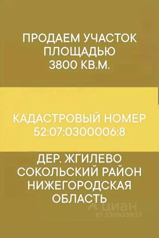 Участок в Нижегородская область, Сокольский муниципальный округ, д. ... - Фото 1