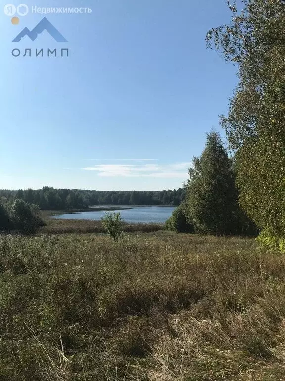 Участок в Вологодская область, Кирилловский муниципальный округ, ... - Фото 0