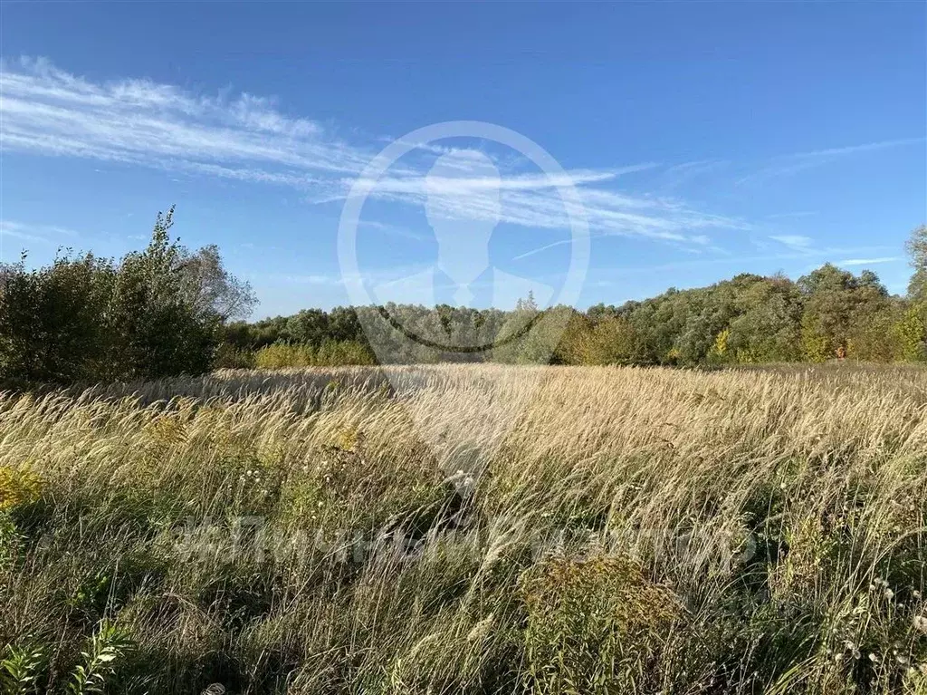 Участок в Рязанская область, Михайловский муниципальный округ, д. ... - Фото 2