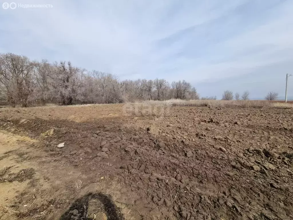 Участок в Дубовка, Приволжская улица (9.6 м) - Фото 1