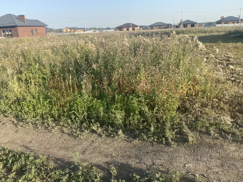 Участок в Ростовская область, Аксайский район, Щепкинское с/пос, пос. ... - Фото 2