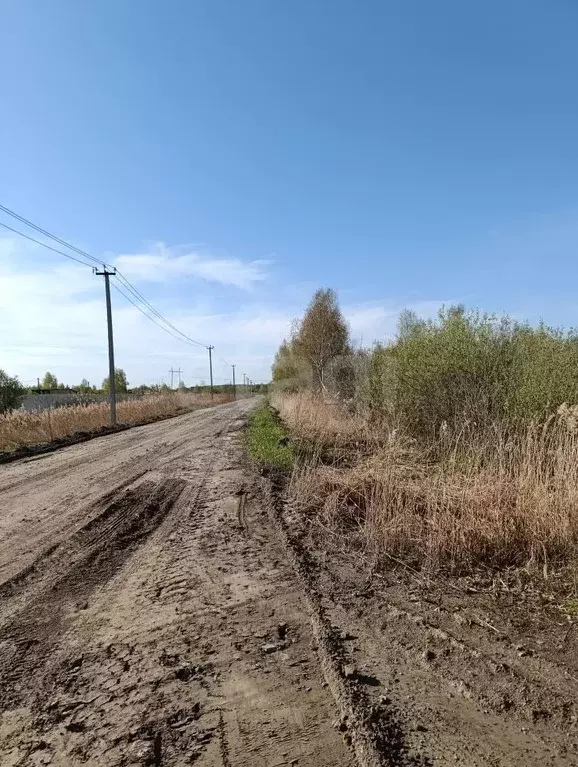 Участок в Тюменская область, Тюмень  (40.0 сот.) - Фото 1