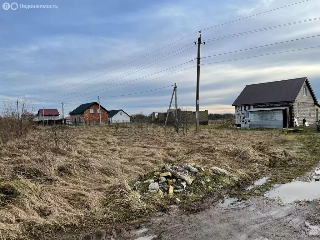 Участок в Калининградская область, Гурьевский муниципальный округ, ... - Фото 0