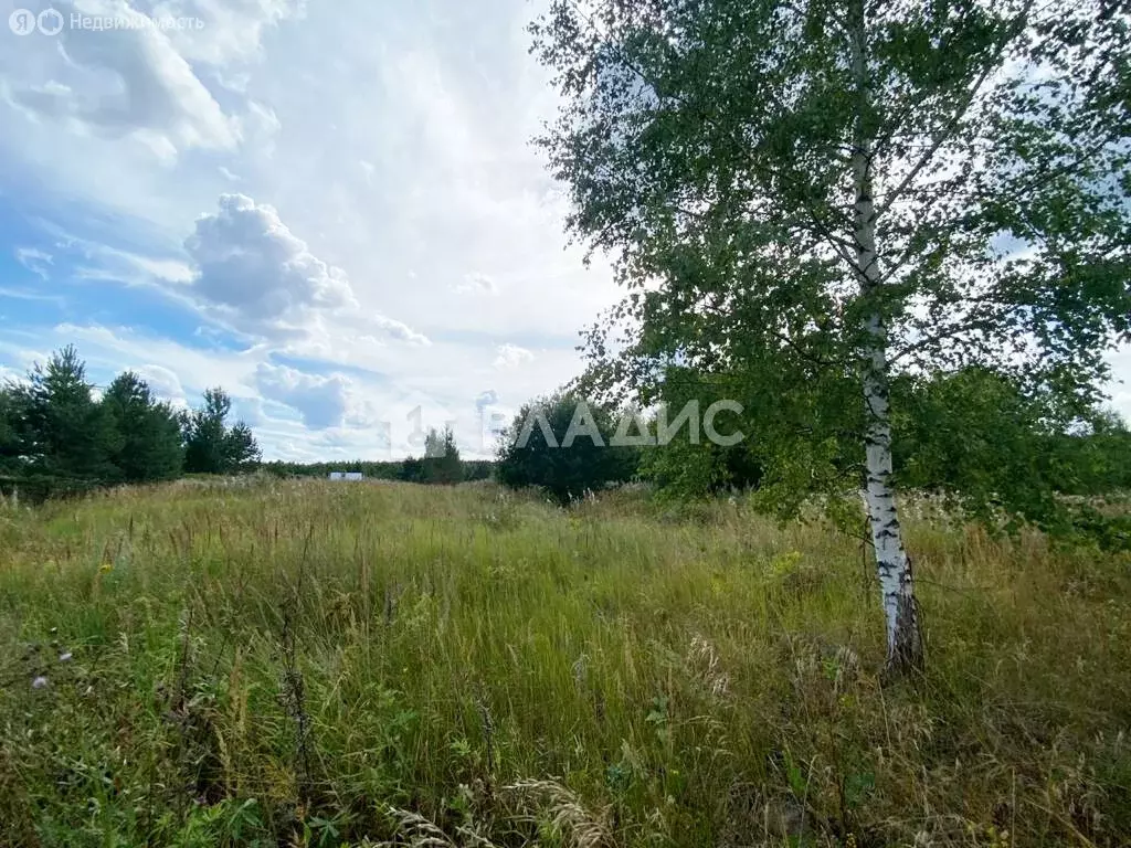 участок в судогодский район, муниципальное образование головинское, . - Фото 1