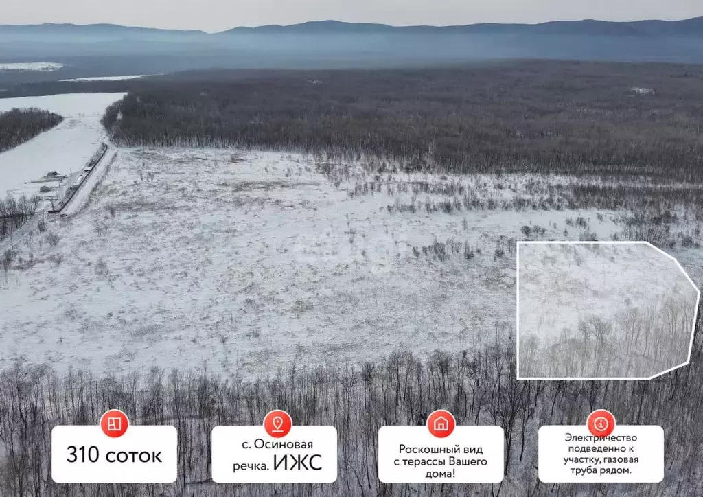 Участок в Хабаровский край, Хабаровский район, Осиновореченское с/пос, ... - Фото 1