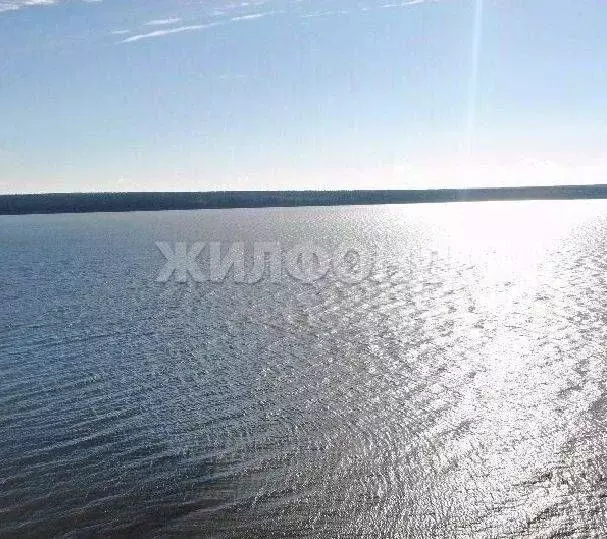 Дом в Новосибирская область, Ордынский район, с. Спирино Боровая ул. ... - Фото 1