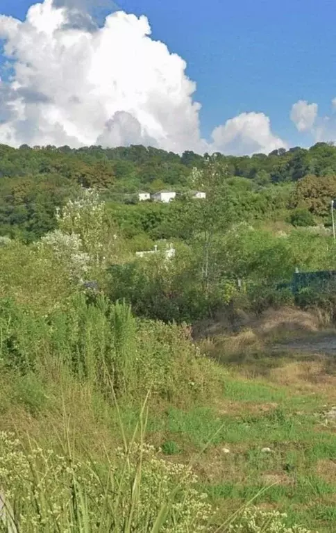 Участок в Краснодарский край, Сочи городской округ, с. Ермоловка  ... - Фото 1