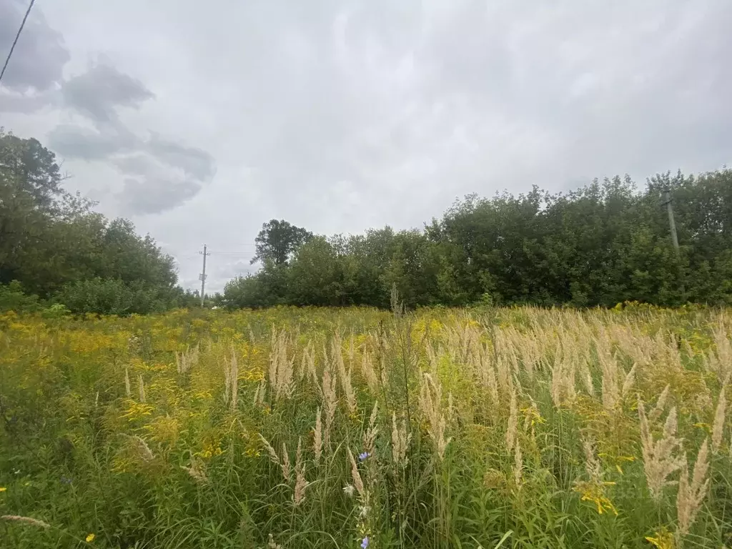 Участок в Рязанская область, Рязань Ветеран-94 СТ, 428 (11.5 сот.) - Фото 2